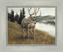 Load image into Gallery viewer, Nature's Silence