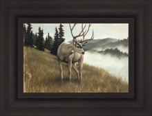 Load image into Gallery viewer, Nature's Silence