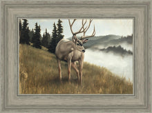 Load image into Gallery viewer, Nature's Silence