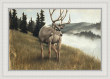 Load image into Gallery viewer, Nature's Silence