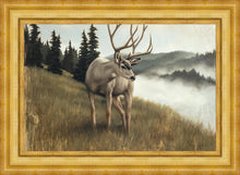 Load image into Gallery viewer, Nature's Silence