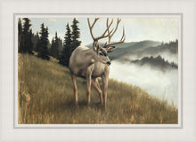 Load image into Gallery viewer, Nature's Silence