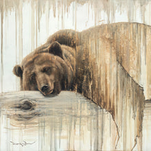 Load image into Gallery viewer, Nap Time