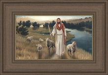 Load image into Gallery viewer, The Rescue