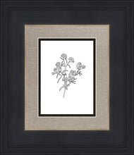 Load image into Gallery viewer, Peach Tree Flowers