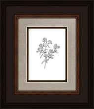 Load image into Gallery viewer, Peach Tree Flowers