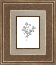 Load image into Gallery viewer, Peach Tree Flowers