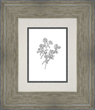 Load image into Gallery viewer, Peach Tree Flowers