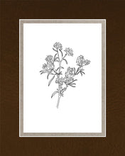 Load image into Gallery viewer, Peach Tree Flowers