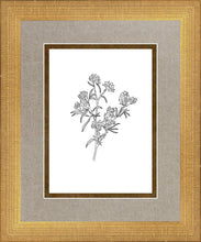 Load image into Gallery viewer, Peach Tree Flowers