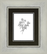 Load image into Gallery viewer, Peach Tree Flowers