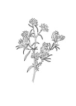 Load image into Gallery viewer, Peach Tree Flowers