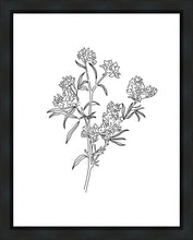Load image into Gallery viewer, Peach Tree Flowers