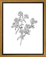 Load image into Gallery viewer, Peach Tree Flowers