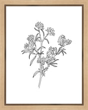 Load image into Gallery viewer, Peach Tree Flowers