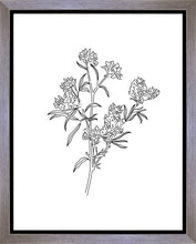 Load image into Gallery viewer, Peach Tree Flowers