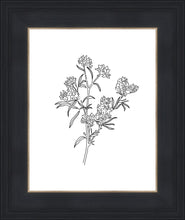 Load image into Gallery viewer, Peach Tree Flowers