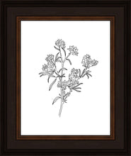Load image into Gallery viewer, Peach Tree Flowers