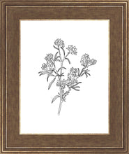 Load image into Gallery viewer, Peach Tree Flowers