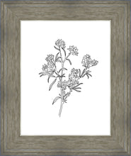 Load image into Gallery viewer, Peach Tree Flowers