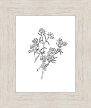 Load image into Gallery viewer, Peach Tree Flowers