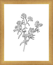 Load image into Gallery viewer, Peach Tree Flowers