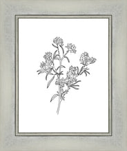 Load image into Gallery viewer, Peach Tree Flowers
