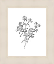 Load image into Gallery viewer, Peach Tree Flowers