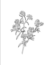 Load image into Gallery viewer, Peach Tree Flowers