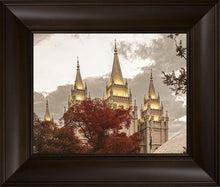 Load image into Gallery viewer, Salt Lake Temple 05