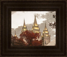 Load image into Gallery viewer, Salt Lake Temple 05