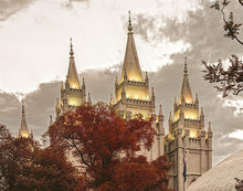Load image into Gallery viewer, Salt Lake Temple 05