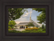 Load image into Gallery viewer, Boise Temple 01