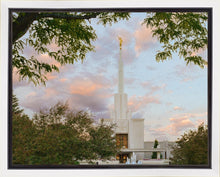 Load image into Gallery viewer, Denver Temple 01