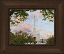 Load image into Gallery viewer, Denver Temple 01