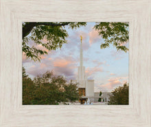 Load image into Gallery viewer, Denver Temple 01