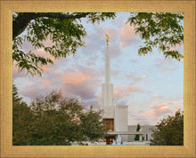 Load image into Gallery viewer, Denver Temple 01