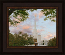 Load image into Gallery viewer, Denver Temple 01