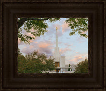 Load image into Gallery viewer, Denver Temple 01