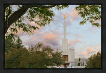 Load image into Gallery viewer, Denver Temple 01