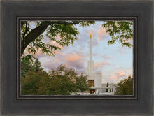 Load image into Gallery viewer, Denver Temple 01