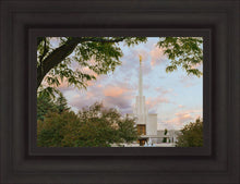 Load image into Gallery viewer, Denver Temple 01