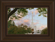 Load image into Gallery viewer, Denver Temple 01