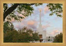 Load image into Gallery viewer, Denver Temple 01