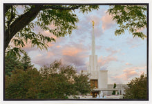Load image into Gallery viewer, Denver Temple 01