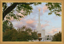 Load image into Gallery viewer, Denver Temple 01