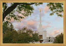 Load image into Gallery viewer, Denver Temple 01