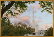 Load image into Gallery viewer, Denver Temple 01