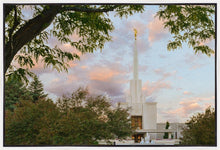 Load image into Gallery viewer, Denver Temple 01