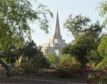 Load image into Gallery viewer, Gilbert Temple 14